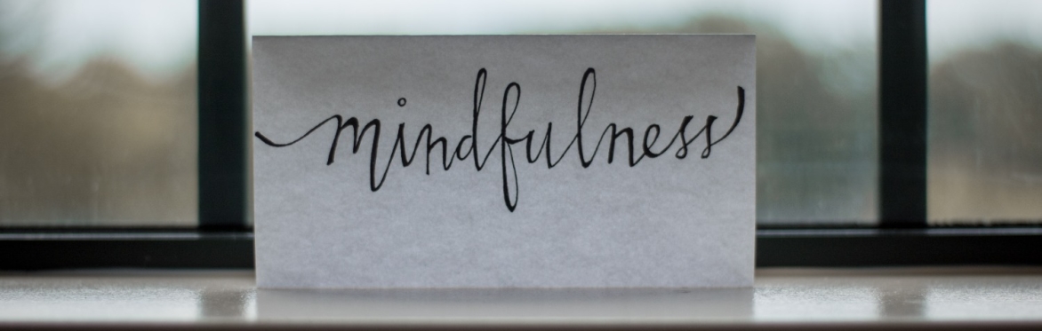 Mindful Ethics: An Acceptance-based Approach to Ethics  for Mental Health Professionals