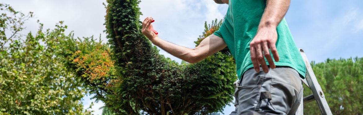 Ateliers Jardinage 2026/2027
