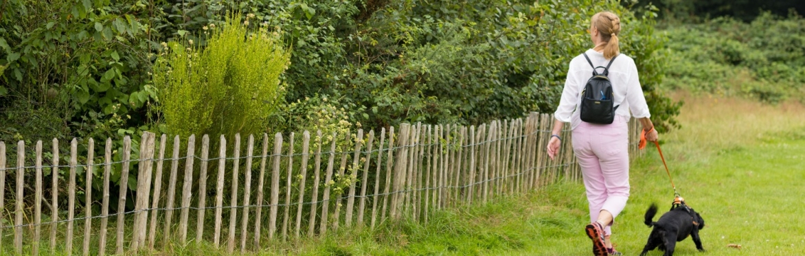 Making urban tree planting happen: what we've learned through five years of research
