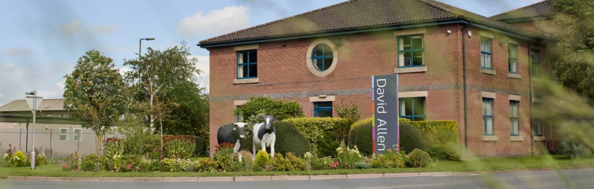 David Allen Office
