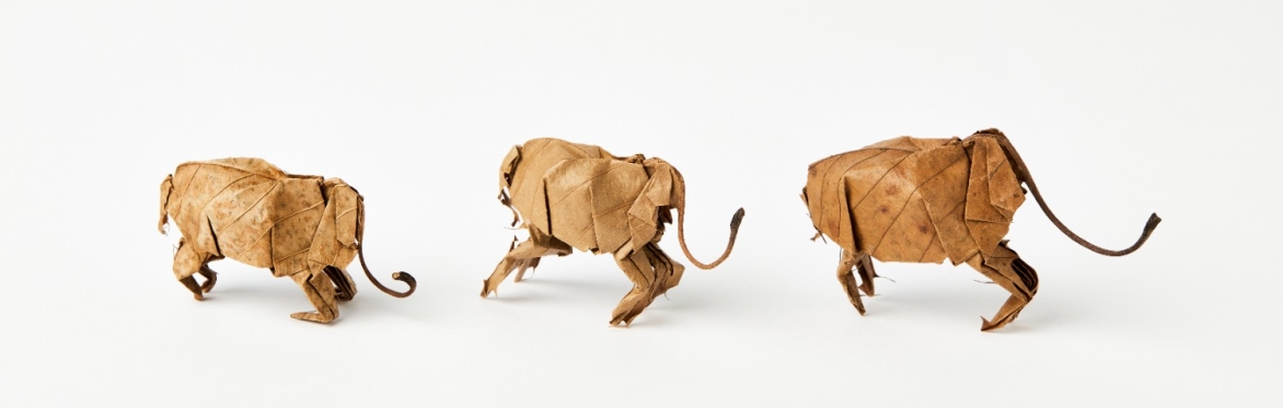 Talk by Jennifer Gilbert, curator of 'Why We Linger' and  Jennifer Lauren Gallery