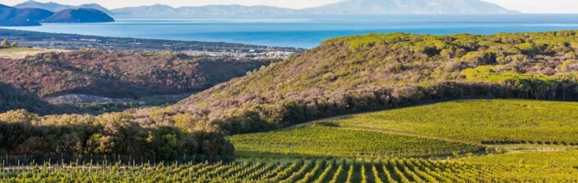 -aia / -ello / -eto : A Black Truffle, Super Tuscan Legends Dinner