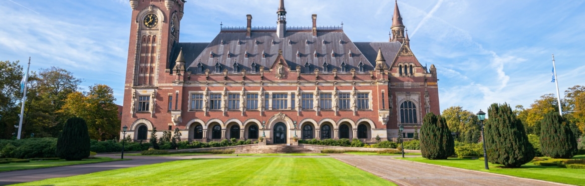 The International Law on the Use of Force: Current Developments