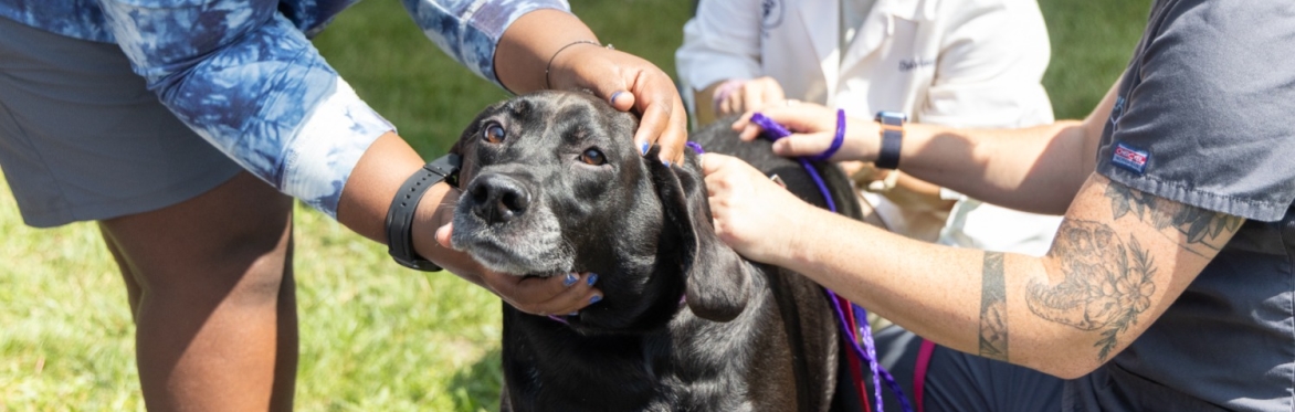 Friends for Life Free Pet Vaccine Clinic (Pre-Registration)