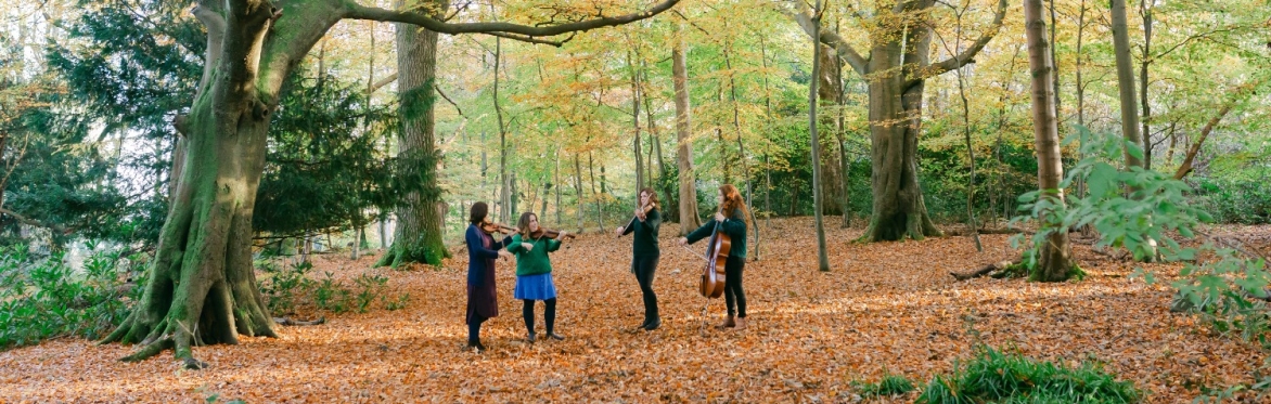 Glisk – Stories of People and Trees Concert Performance