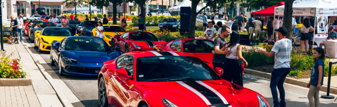 FESTA Ferrari