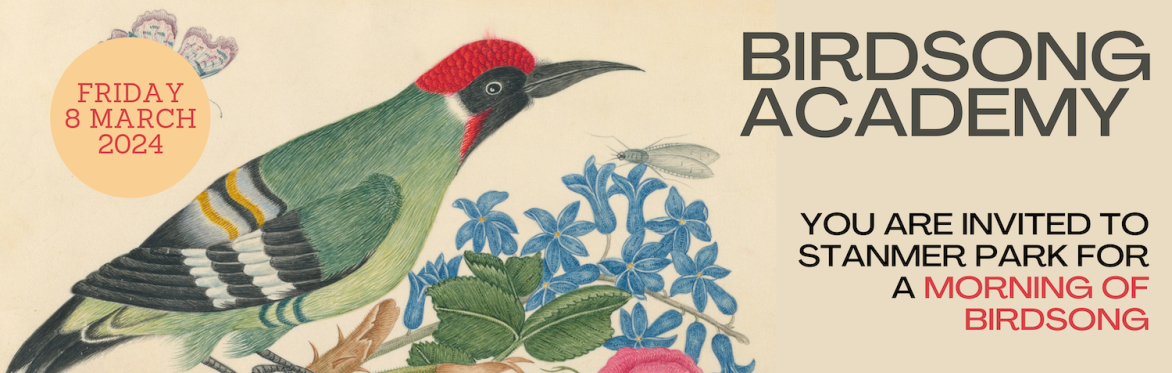 March Birdsong Academy Walkshop - Stanmer Park, Brighton