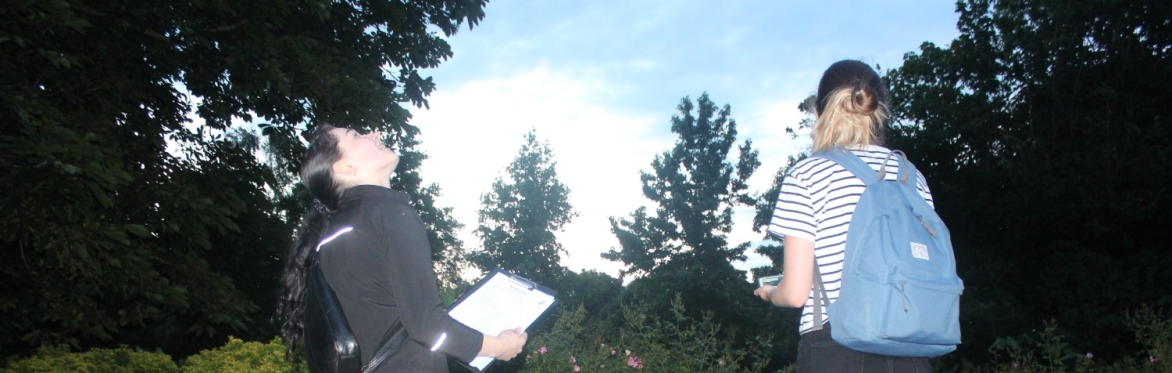 Two people in a park looking at the sunset sky