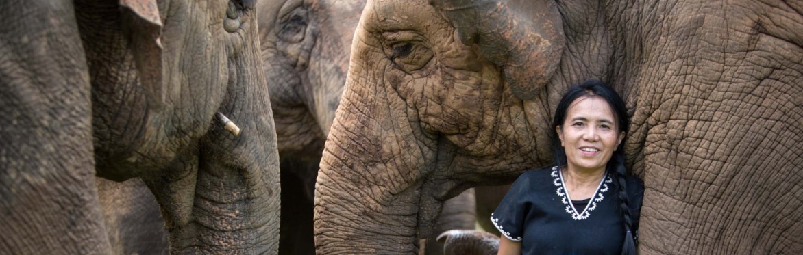 Rise for the Herd: A Special Screening of  Elephant Mother Starring Lek Chailert