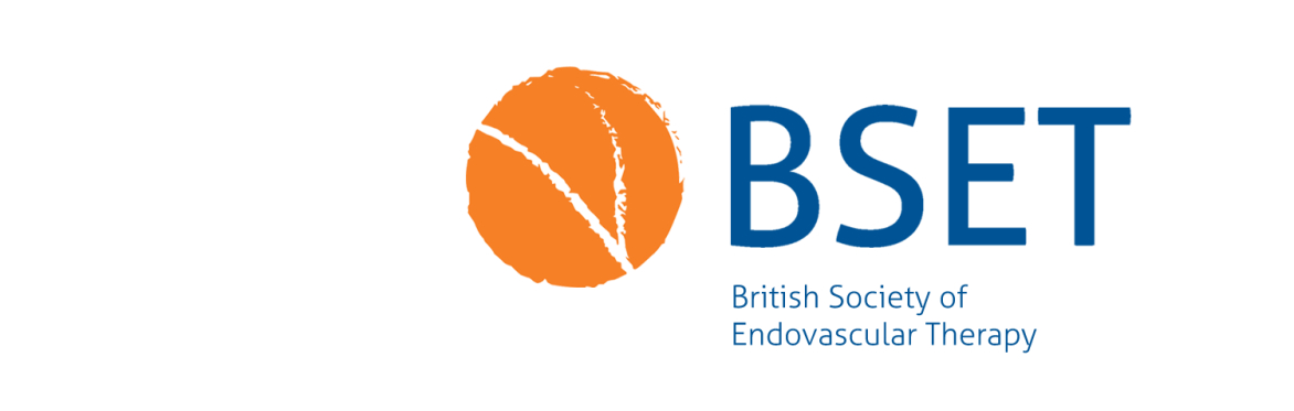 BSET Endovascular Training Course 2024
