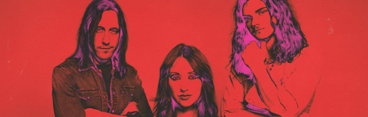 HIPPIE DEATH CULT