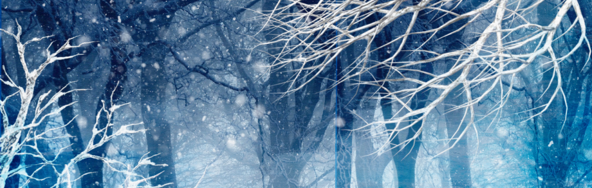 Ingatestone Hall, Ingatestone - The Snow Queen