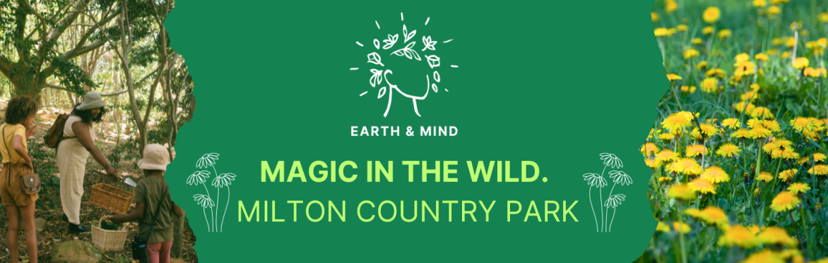Magic in the Wild