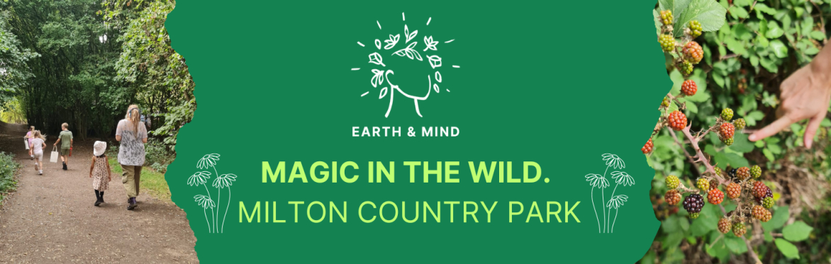 Magic in the Wild