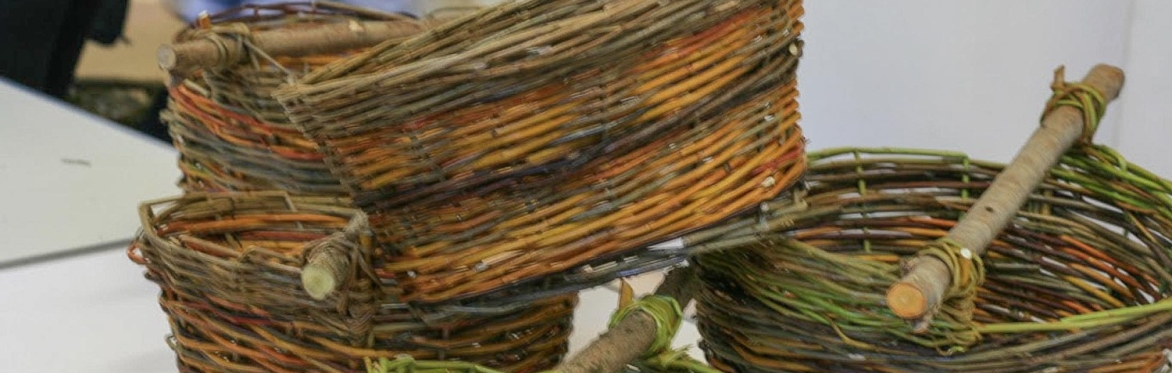 Willow Basketry Workshop