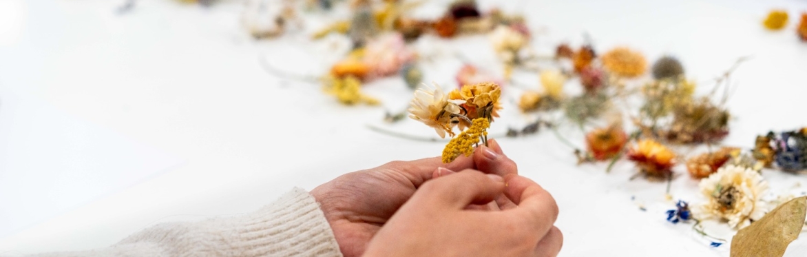 Compostable Art