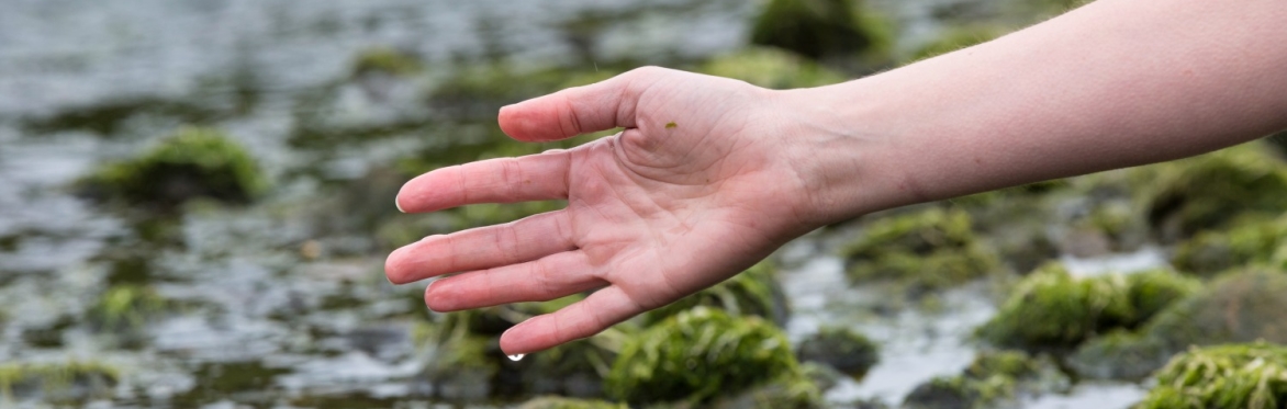 BOW Collective presents Bodies of Water (Macphail Centre)