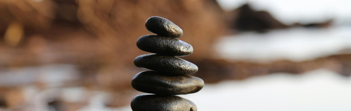 Mindfulness Series: The Art of Being Well