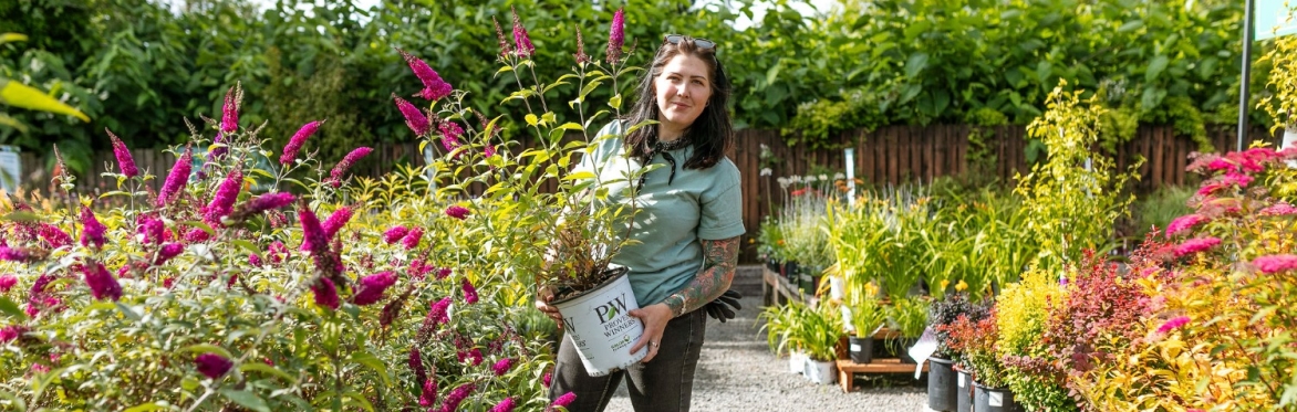 Coastal Gardening Success (Seaside)