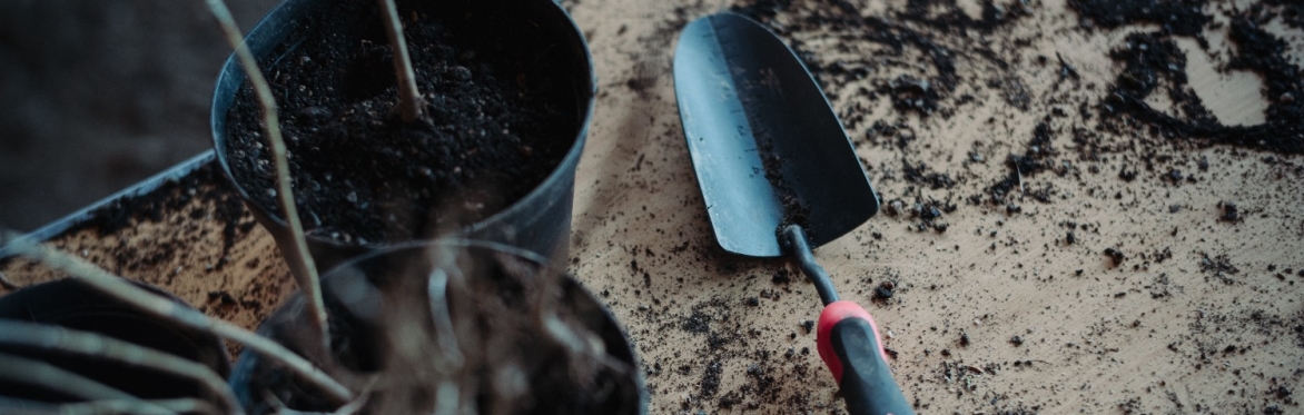 Kitchen Gardens Workshop