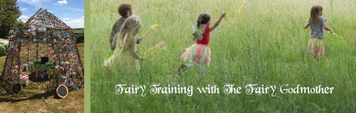 The Willow Fairy Den & trained children