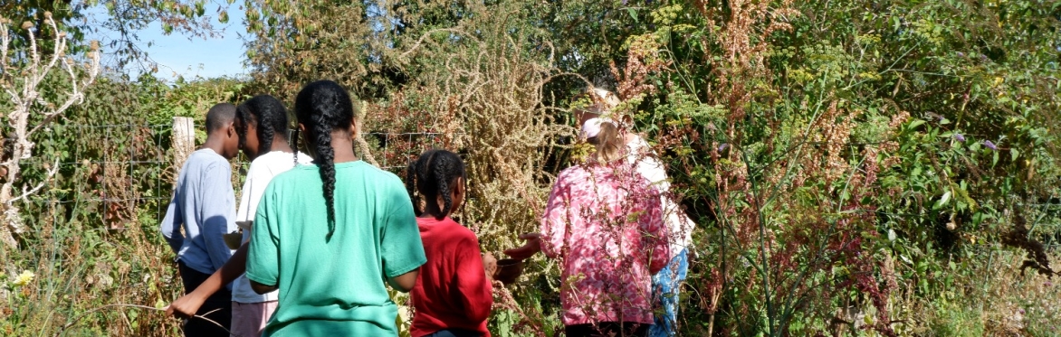 Homeschooling Visit to The Serge Hill Project