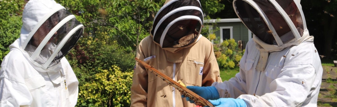 Bee Keeping Taster Day