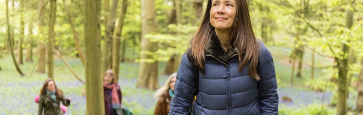 Summer's Embrace: Forest Bathing