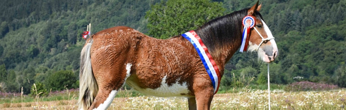 Aberfeldy Show and Highland Games