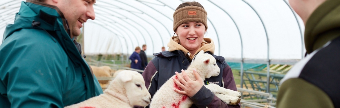 two students holding lambs