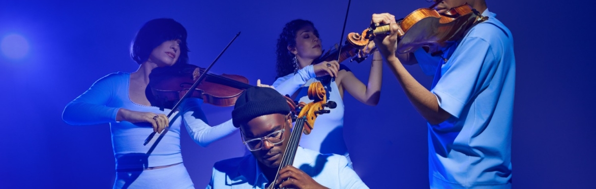 Palaver Strings