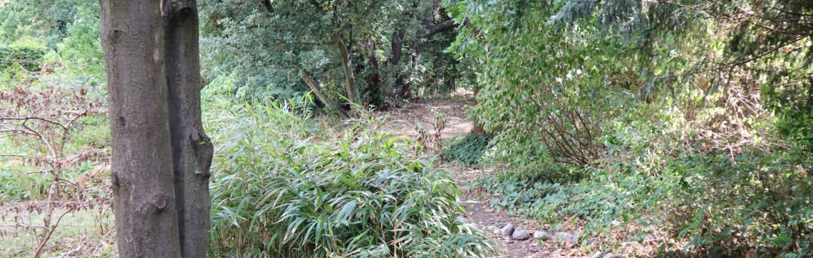 Bell House Garden's Compost Story: A step-by-step tour of our living compost cycle