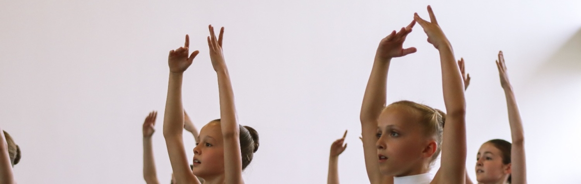 Spring Workshop - Juniors