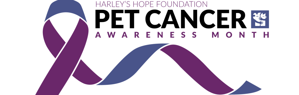 Pet Cancer Awareness