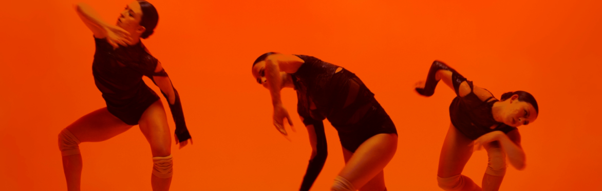 METAMORPHOSIS: A 360° LIVE VISUAL DANCE SHOW