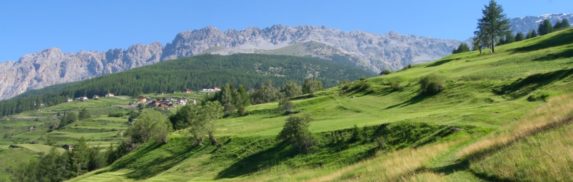 Serata VALFURVA E PARCO NAZIONALE DELLO STELVIO