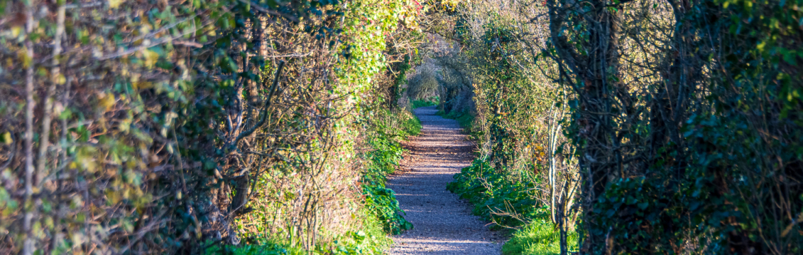 A path leading into the distance - Credit @ MDC Walk it Local Goldhanger