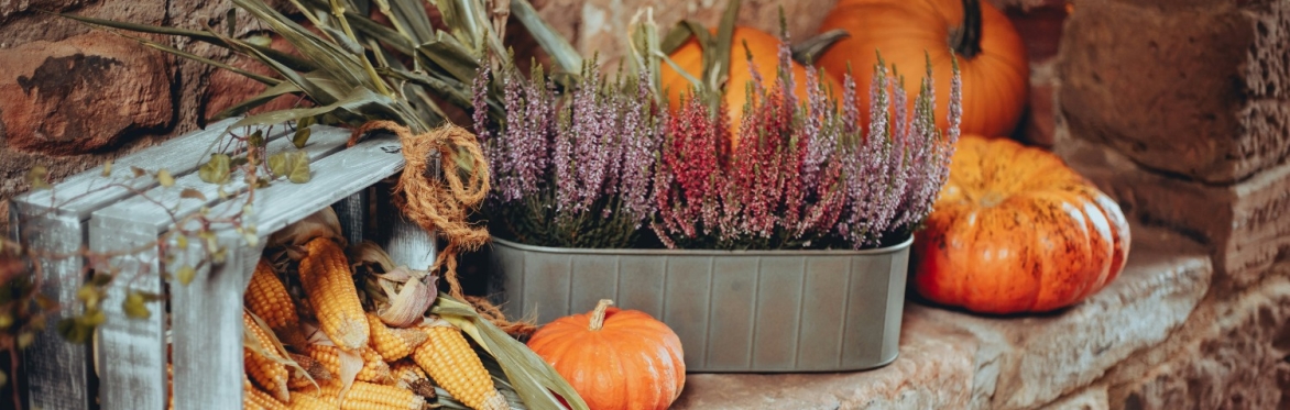 Harvest Table: A Thanksgiving Centerpiece Arranging Class