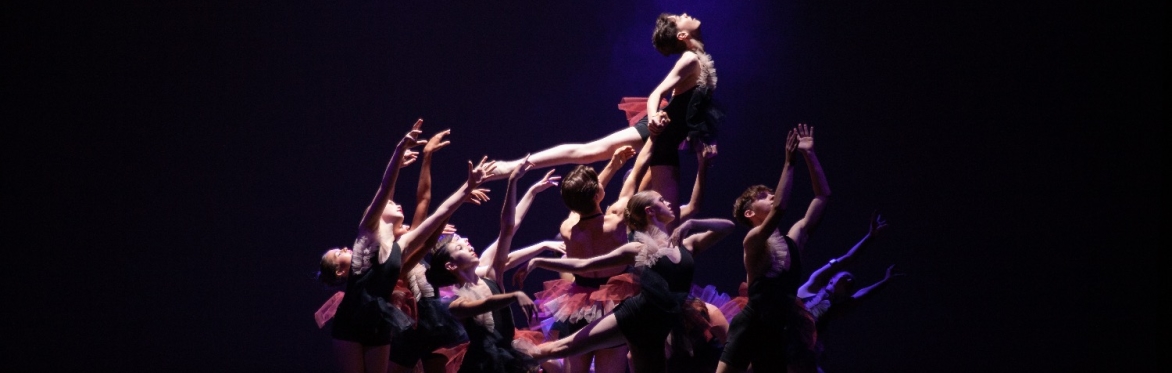 Audition - Birmingham (Birmingham Royal Ballet)