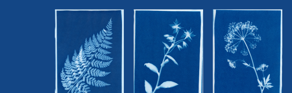 Garden  Cyanotype Workshop with Jenny