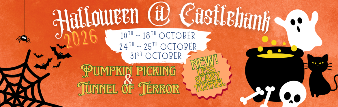 Halloween at castlebank pumpkin picking and Tunnel of terror yellow spooky font on purple background