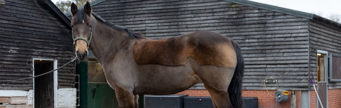 Static and Dynamic Conformation - for Stage 5 Care (Stable Managers)