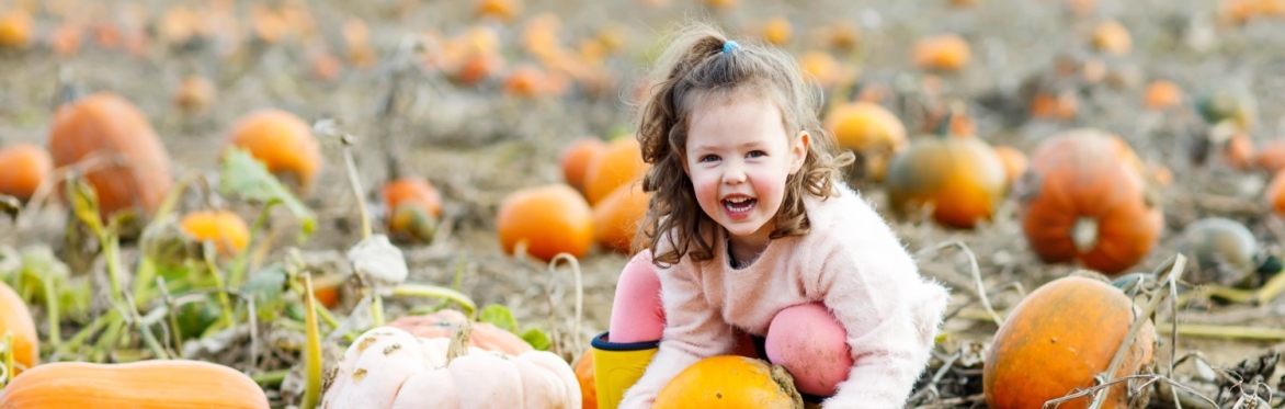 Pumpkins at the Park