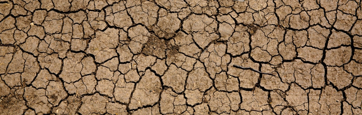 The nexus between climate change, human rights and peace