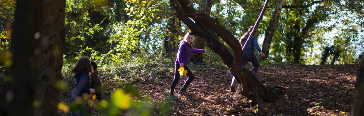 DRAMA IN THE WOODS • OCTOBER HALF TERM • BOUNDS GREEN SCOUT PARK