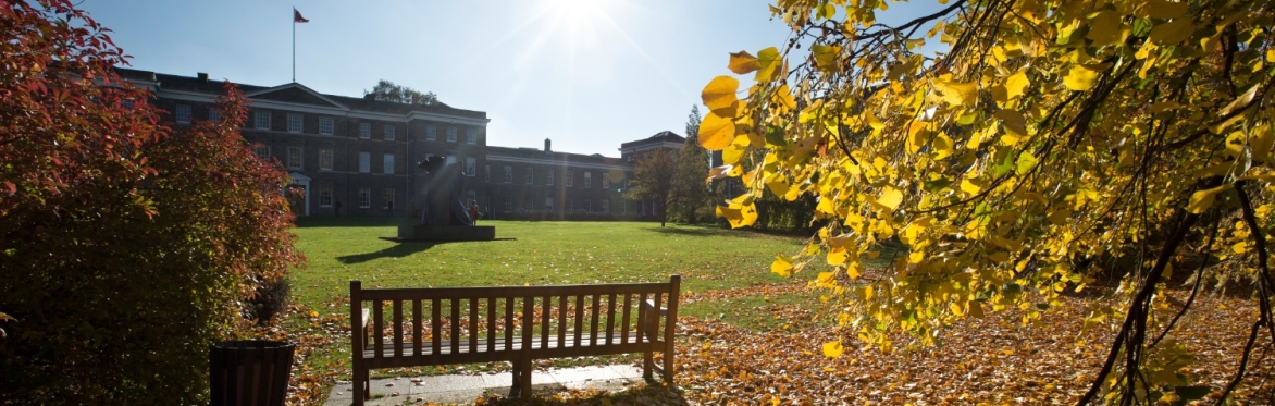 bench in autumn