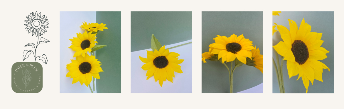 Crepe Paper Sunflower Workshop