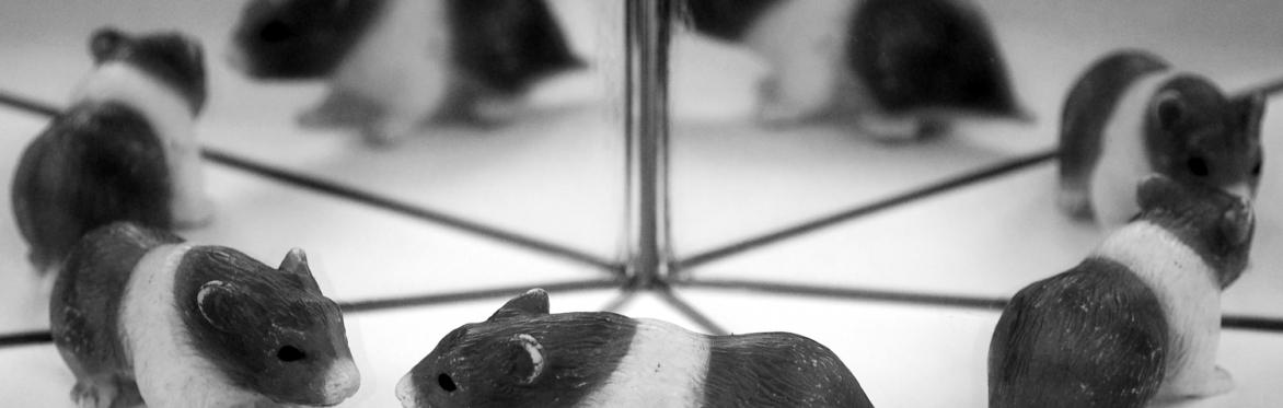 T34. Kaleid Blage - Cyclical Image Processes with Maike Brautmeier & Ute Friederike Schernau