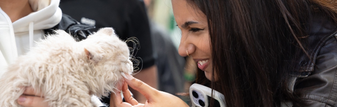 Birmingham 2026 - The Cat Show Live