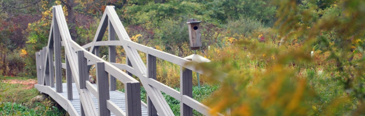 Boal Mansion Trails